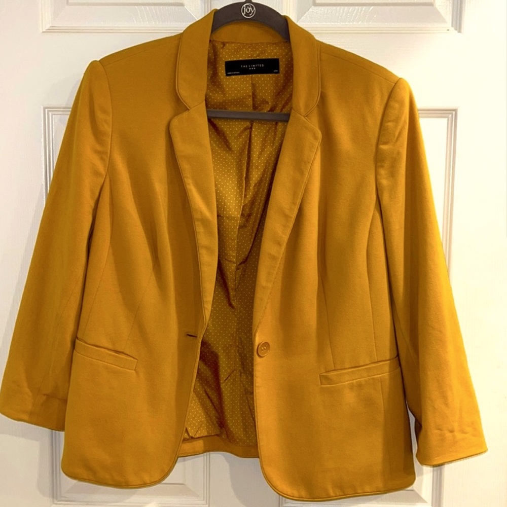 The Limited Blazer